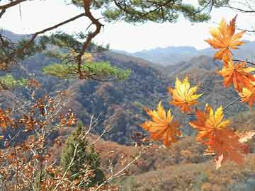 甘肃山丹县最新杀人案，事件背景与深远影响探究