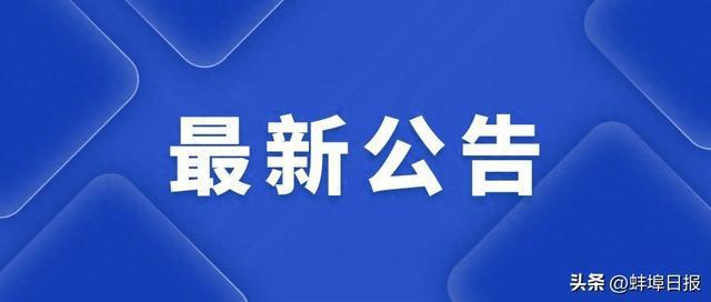 蚌埠市人才网最新招聘动态深度剖析