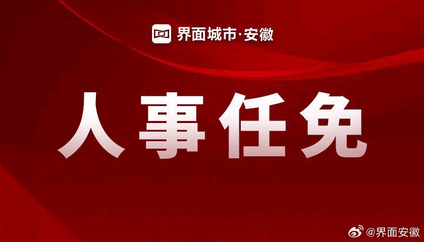 蚌埠市人事任免动态更新