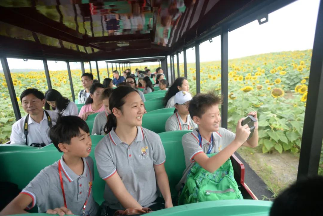 花凌若别离